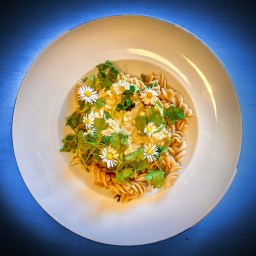 Wieselflinker Pastagenuss