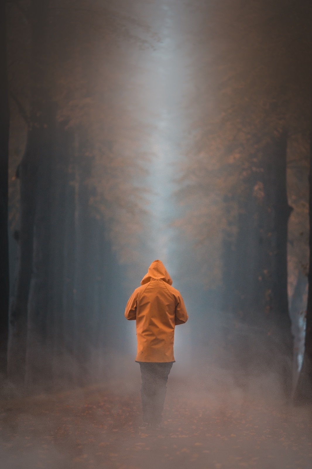 Nebel November Evenburg