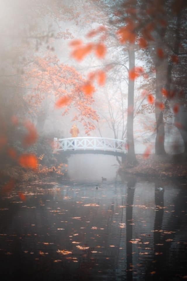 Nebel November Evenburg