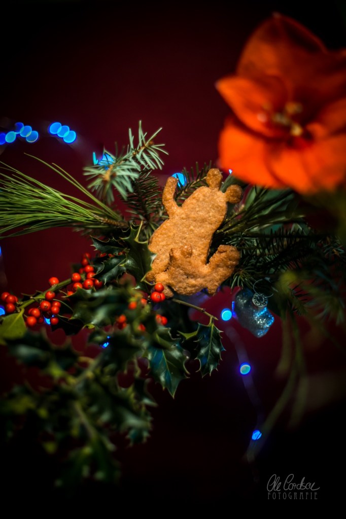 Spekulatius, Weihnachtsgebäck, Weihnachten, Advent, Sendung mit der Maus, Speculoos, Speculaas