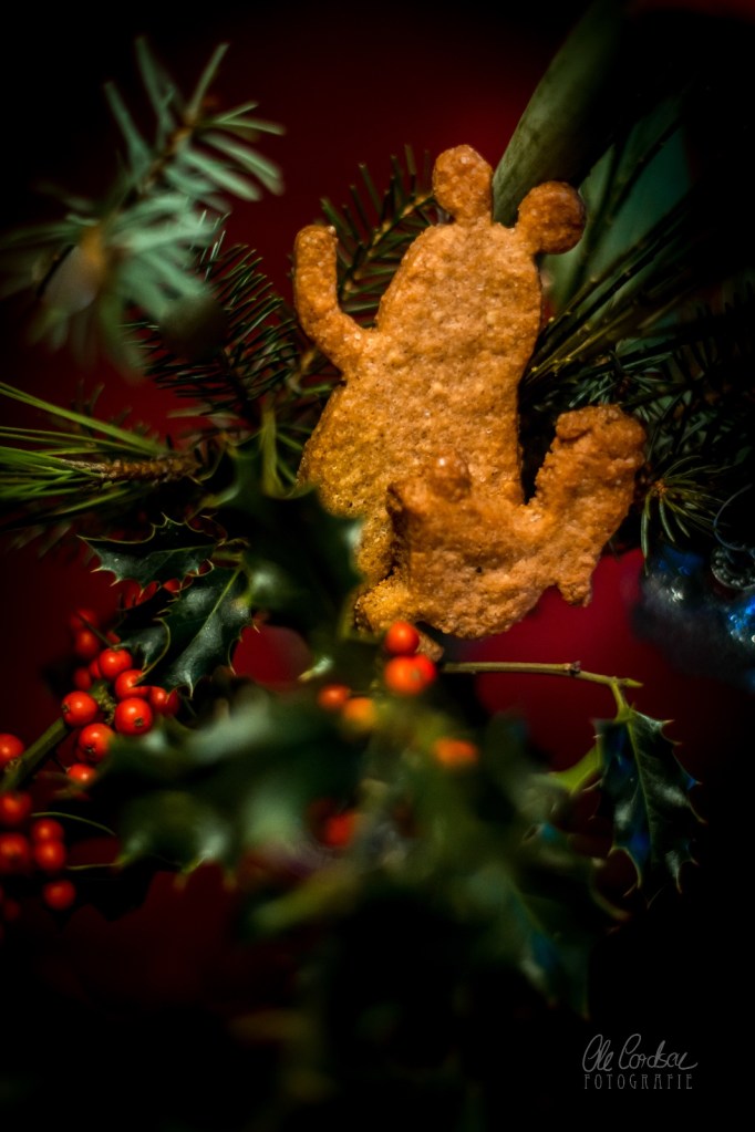 Spekulatius, Weihnachtsgebäck, Weihnachten, Advent, Sendung mit der Maus, Speculoos, Speculaas