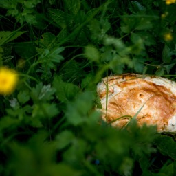 Monströs köstliche Spinat-Hirtenkäse-Taschen: Knusperkissentrolle zum Niederknien