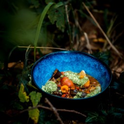 Veganes, wildheißes Aromenwunder: Berbere-Ratatouille mit Gurken-Kokos-Salsa