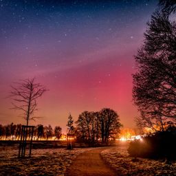 Von Stille, Suppenheinis und richtig guten Songs: ein besonderer Jahresrückblick
