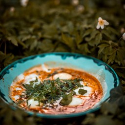 Bärlauch mal anders – mit köstlichem türkischem Çilbir und einer besonderen Geschicht