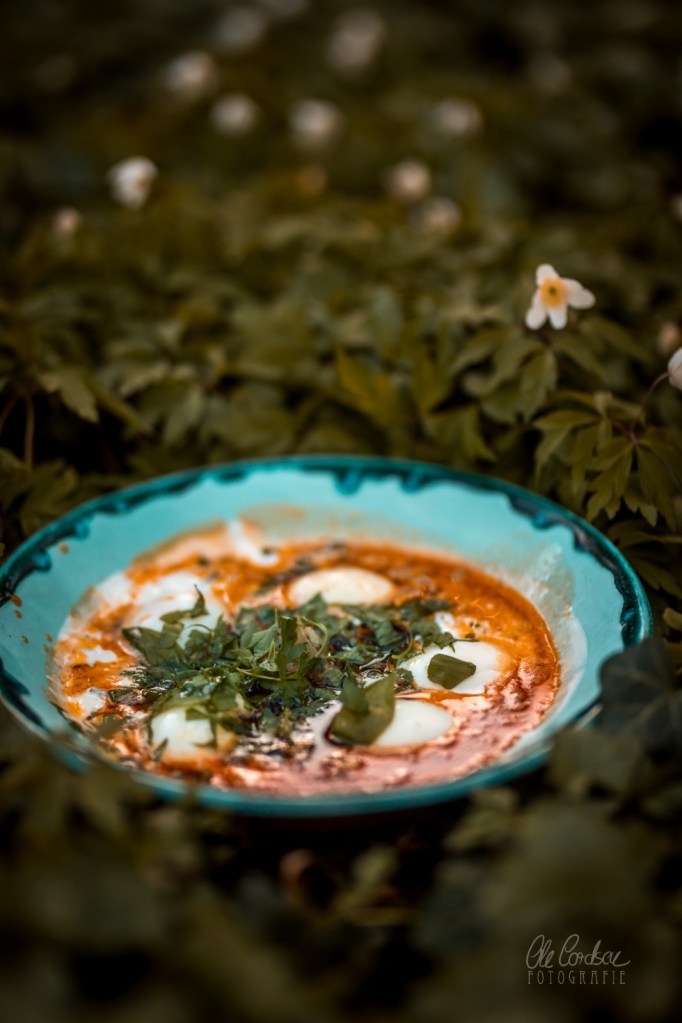 Cilbir Çilbir Joghurt Eier Pul Biber Butter Bärlauch Zitronen Knoblauch türkisches Frühstück Klassiker