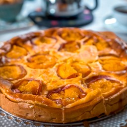 Mein liebster Aprikosen-Cheesecake – mit Feta, Vanillepudding und Zitronenzesten