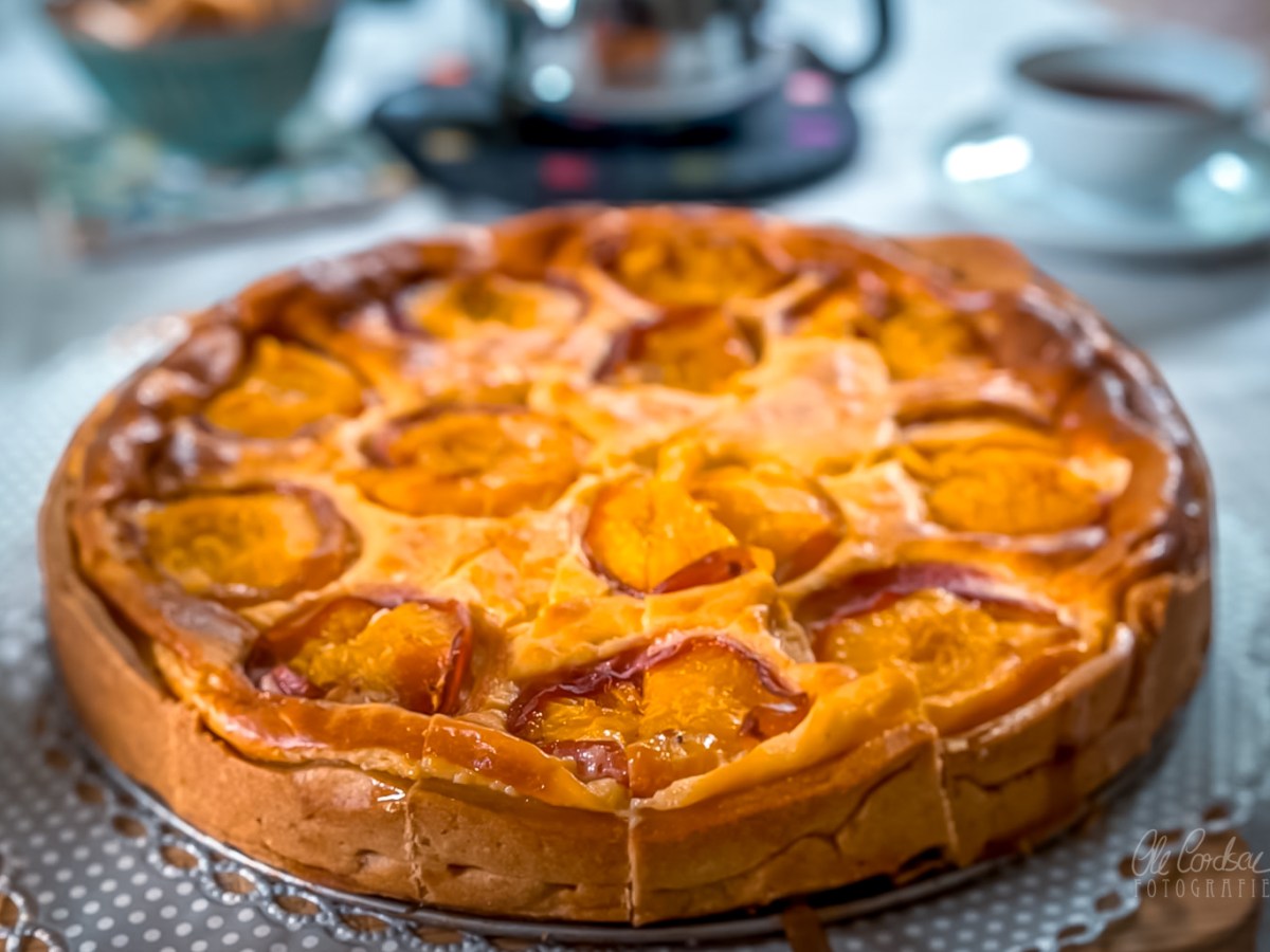 Mein liebster Aprikosen-Cheesecake – mit Feta, Vanillepudding und Zitronenzesten